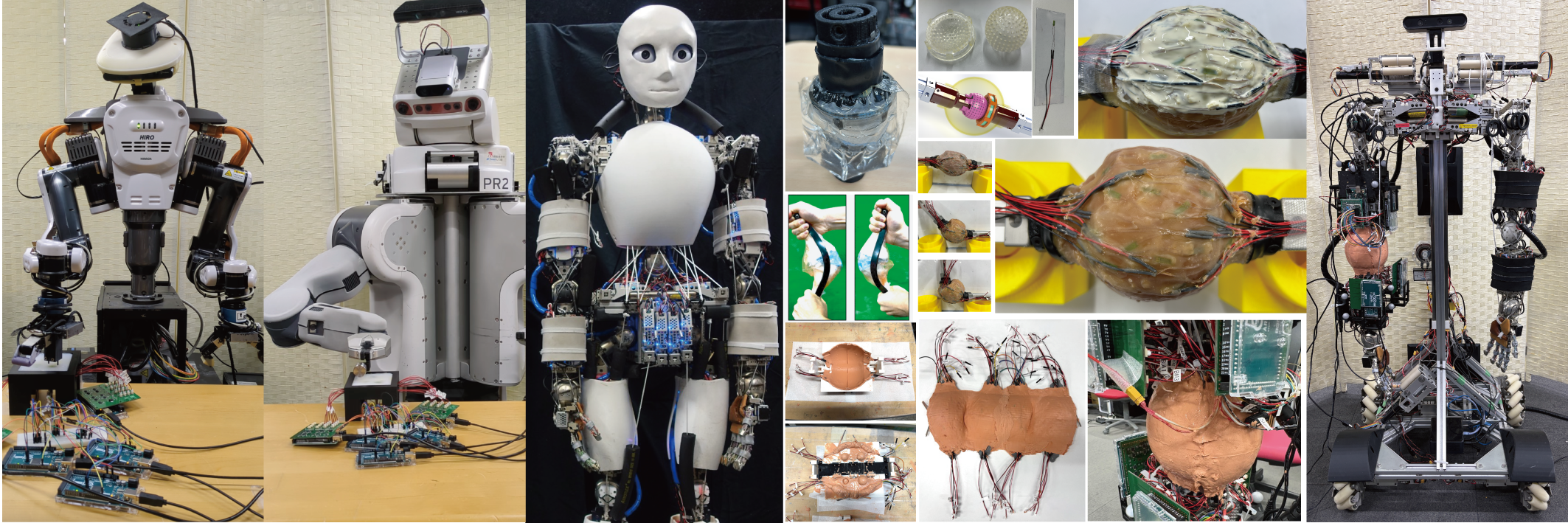 Biomimetic robotics research image